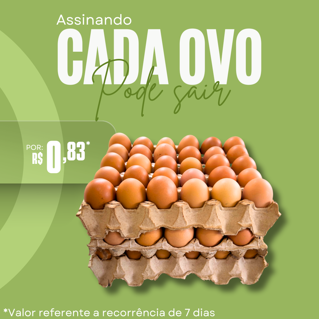 90 ovos caipira
