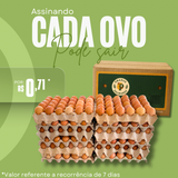 360 ovos caipira