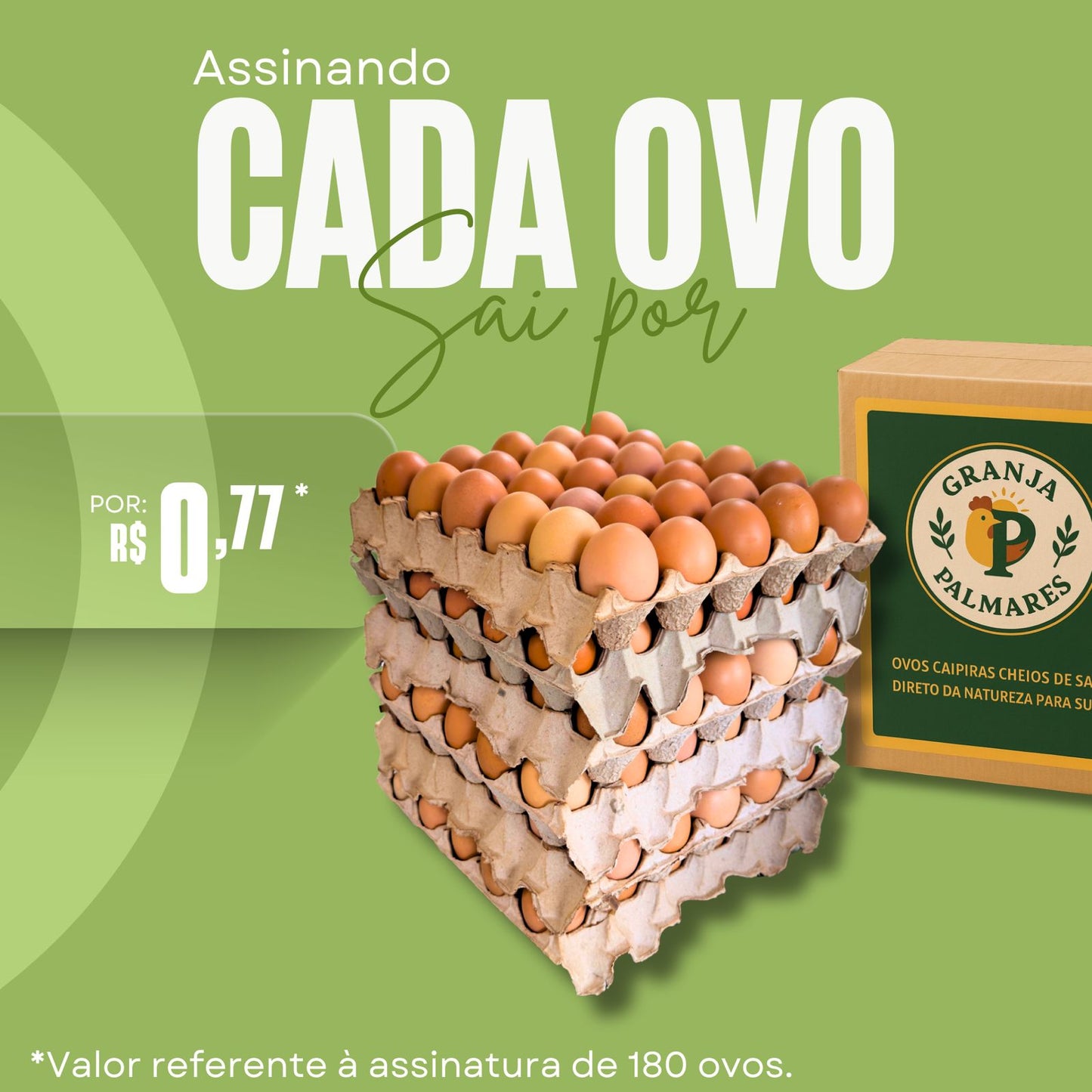 180 ovos caipira