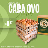 180 ovos caipira